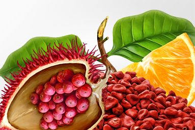 Annatto Lol-Tun